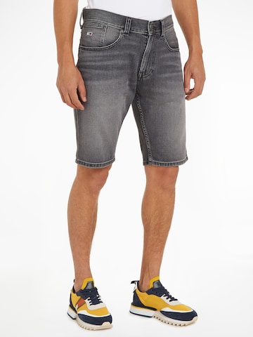 Tommy Jeans Regular Shorts 'Ronnie' in Grau: predná strana