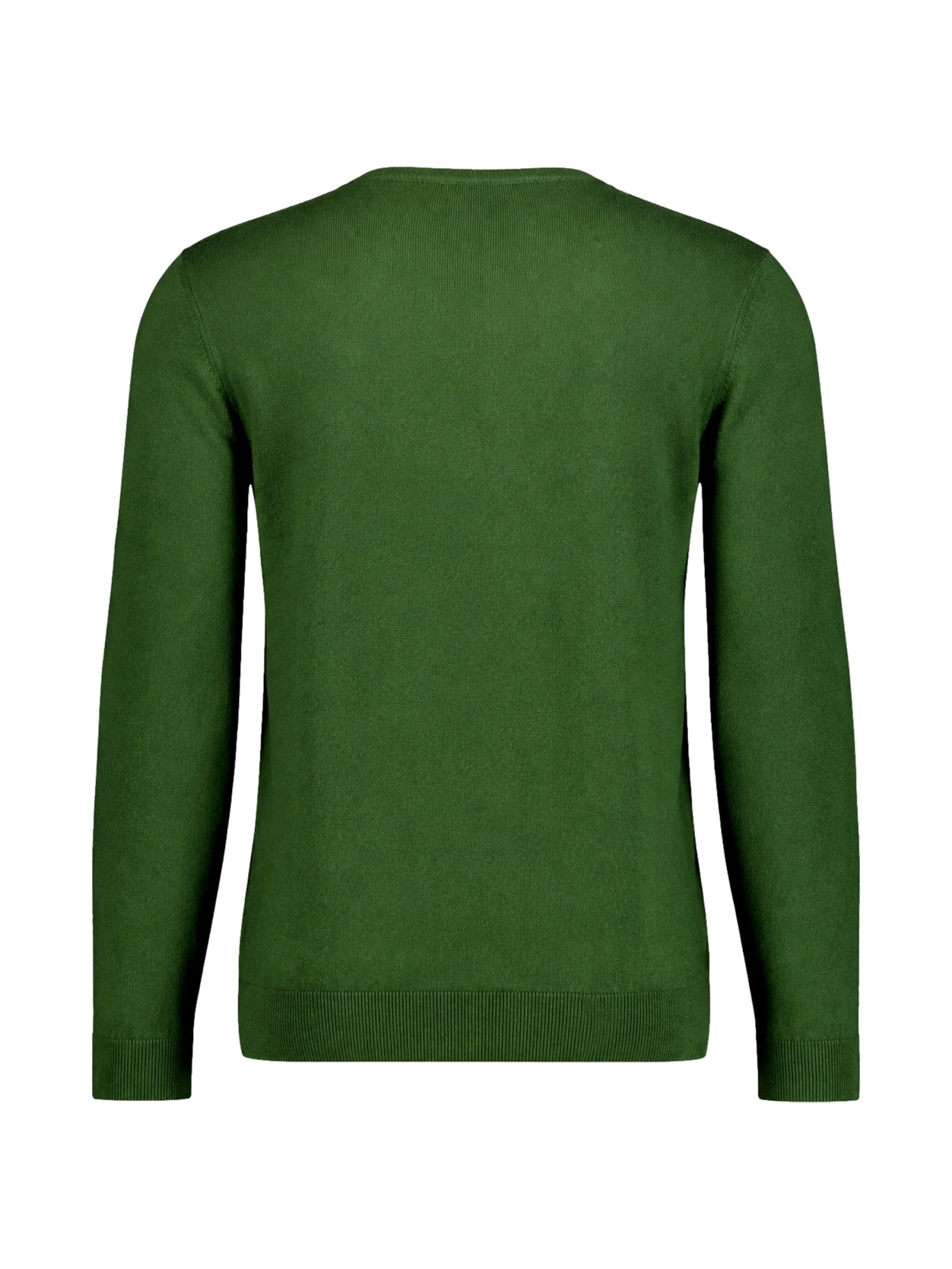 Pull-over Ragman en vert