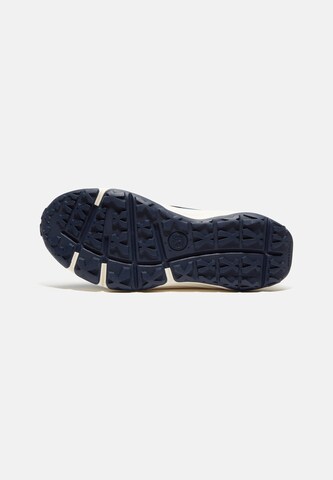TIMBERLAND Trainers in Blue