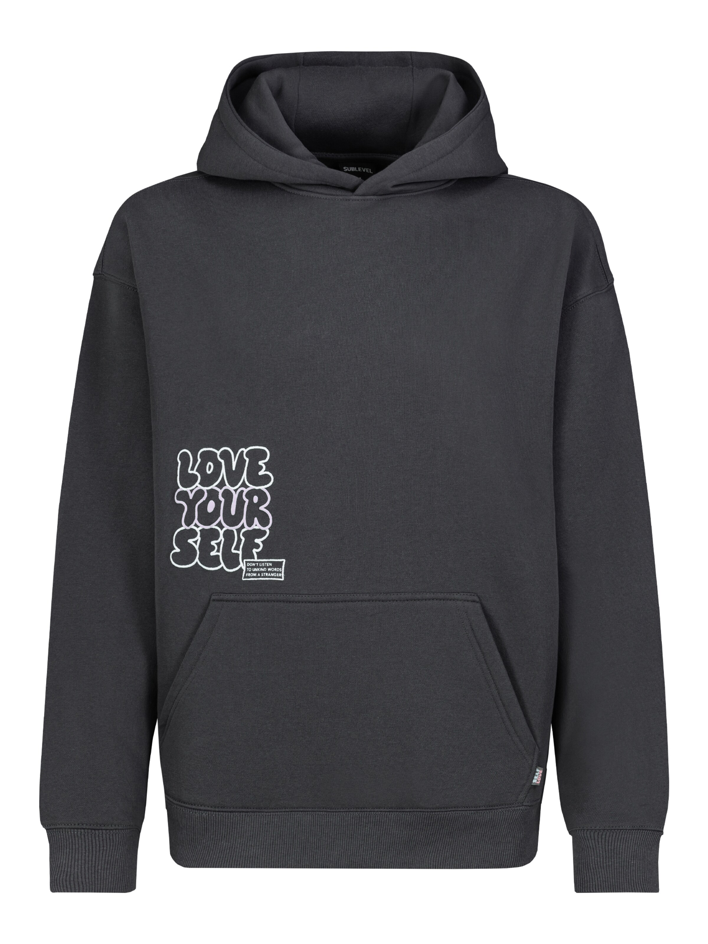 Sublevel Sweatshirt in Grau: Vorderseite