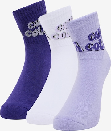 Carlo Colucci Socken 'Ellinger' in Lila: Vorderseite
