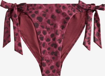 Next - Cueca biquíni em roxo: frente