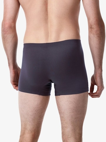 Blackspade Boxershorts in Grijs