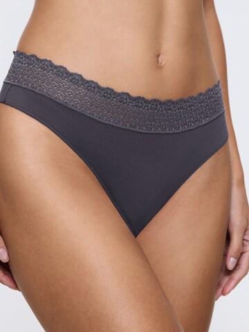 TRIUMPH - Tanga ' Feel of Modal ' en gris