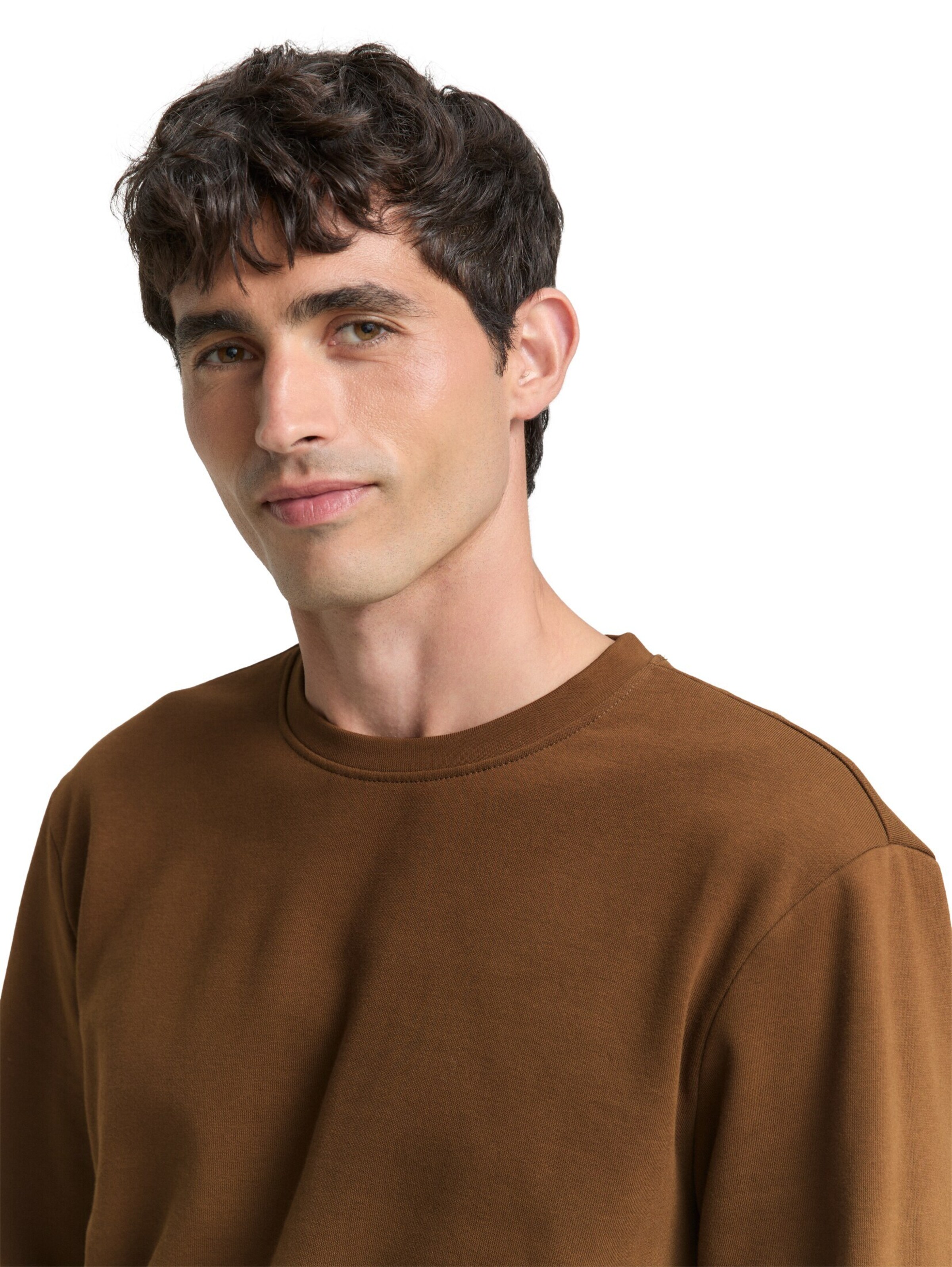 TOM TAILOR Sweatshirt in Braun