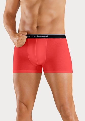 BRUNO BANANI Boxershorts in Mischfarben