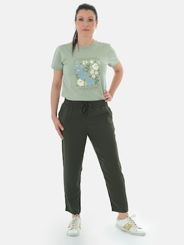 regular Pantaloni 'Pantoneclo Women's Trousers' di PANTONECLO in verde