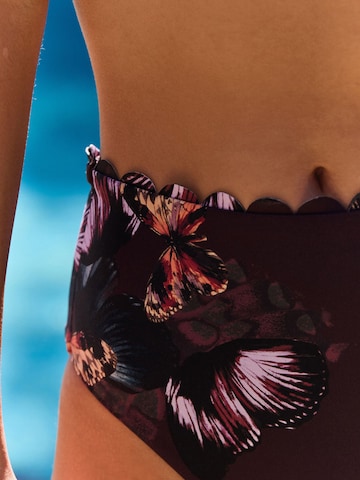 B by Ted Baker Bikini bottom in Brown