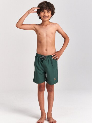 Shiwi Swimming shorts in Green