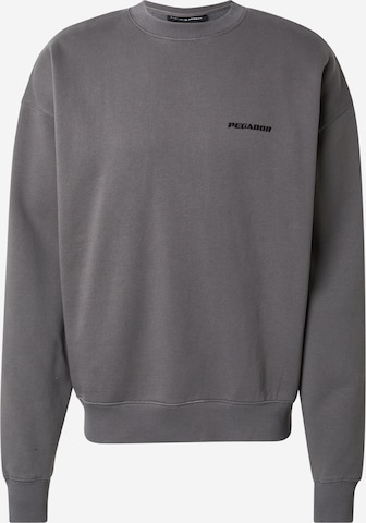 Sweat-shirt Pegador en gris : devant