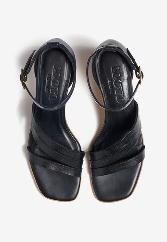 LLOYD Sandals in Black