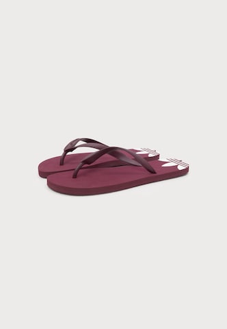 ADIDAS ORIGINALS Teenslipper 'Adi Sun' in Rood