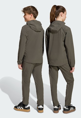 Regular Pantalon de sport 'Real Madrid Tiro 25 Competition' ADIDAS PERFORMANCE en gris