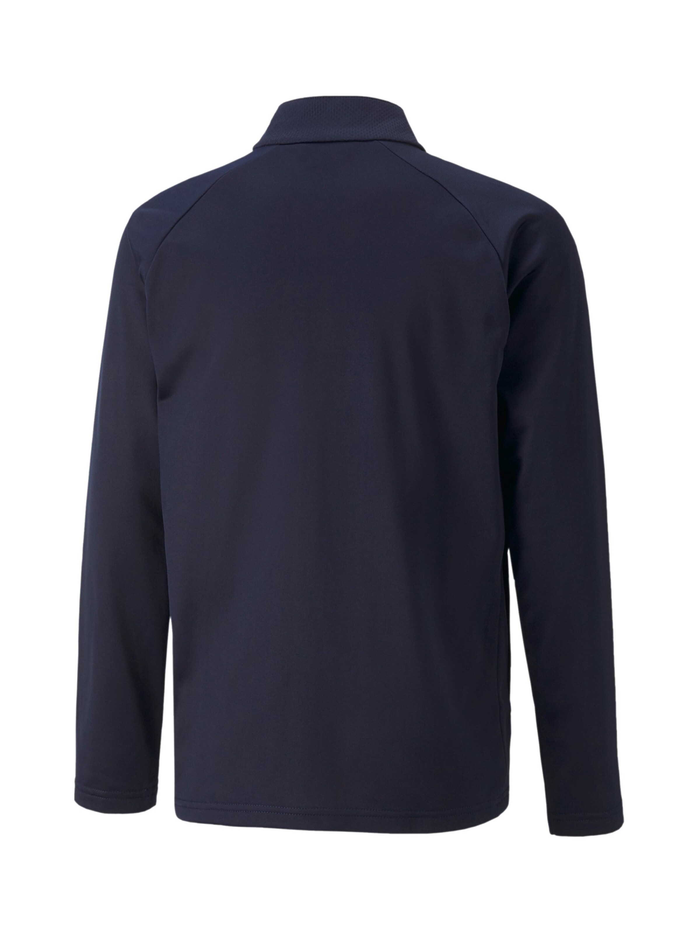 PUMA Athletic Jacket 'TeamLIGA' in Blue