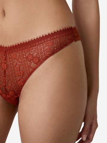 String di ETAM in marrone