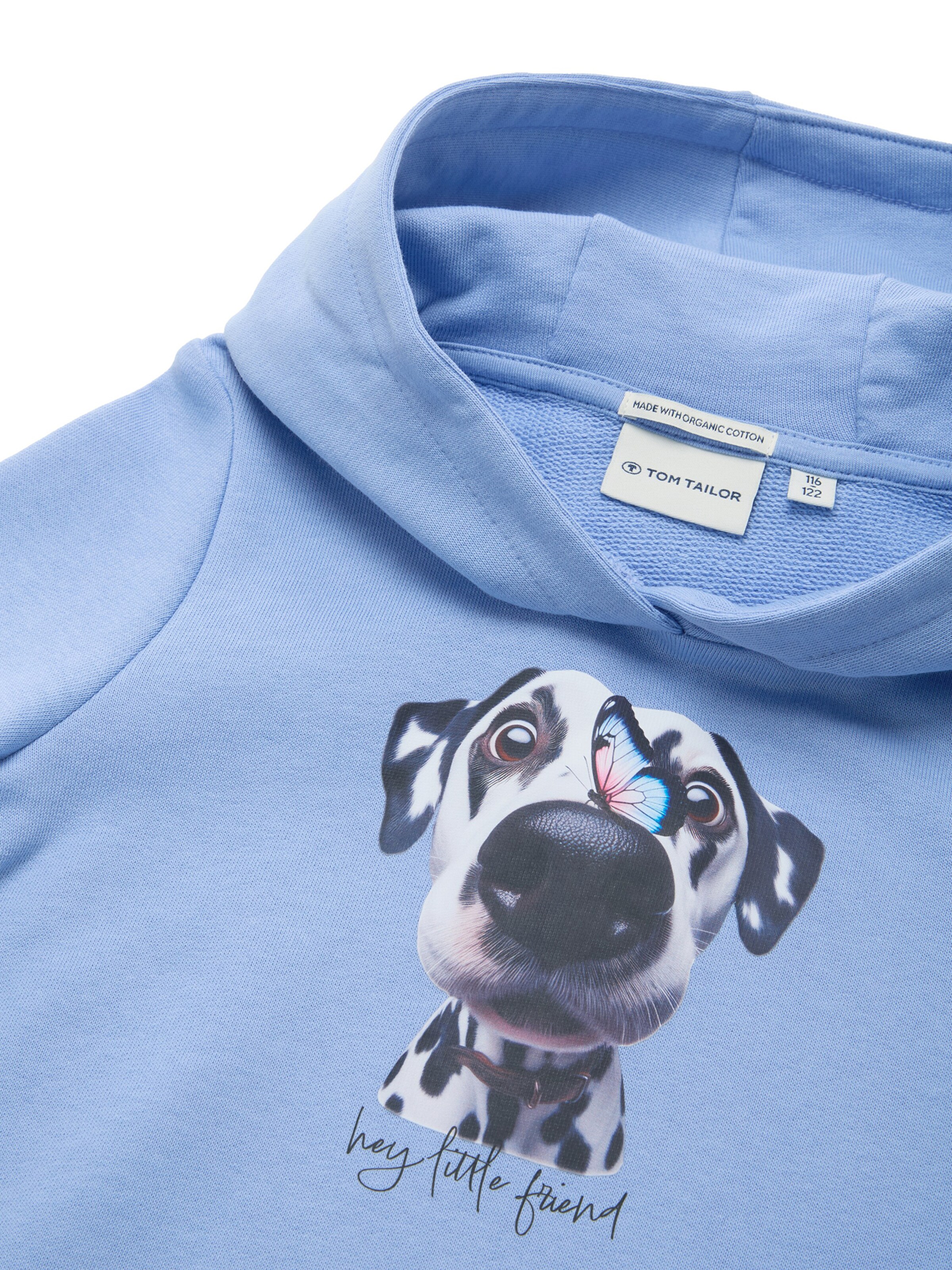 TOM TAILOR Mikina - Modrá