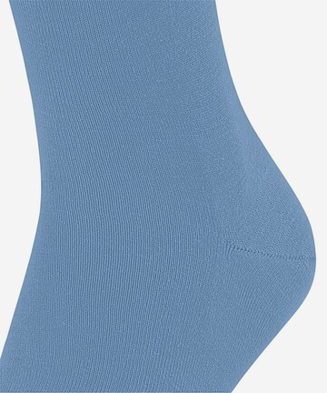 Chaussettes FALKE en bleu