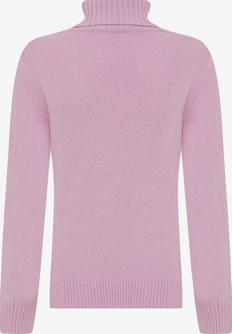 DENIM CULTURE Sweater 'Fallon' in Pink