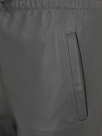 Coupe slim Pantalon 'GIFT' OAKWOOD en gris
