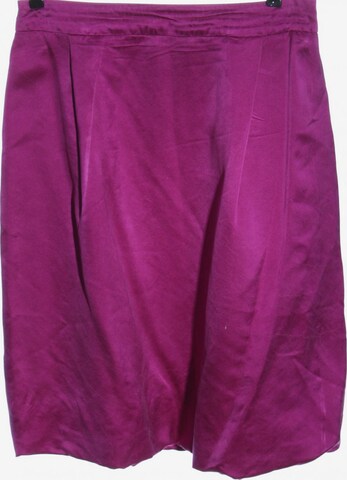 Barbara Schwarzer Skirt in XL in Pink: front