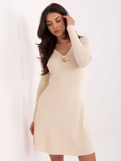 Madnezz House Kleid in dunkelbeige, Produktansicht