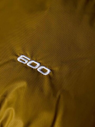 THE NORTH FACE Winterjacke 'Hydrenalite Down' in Grün