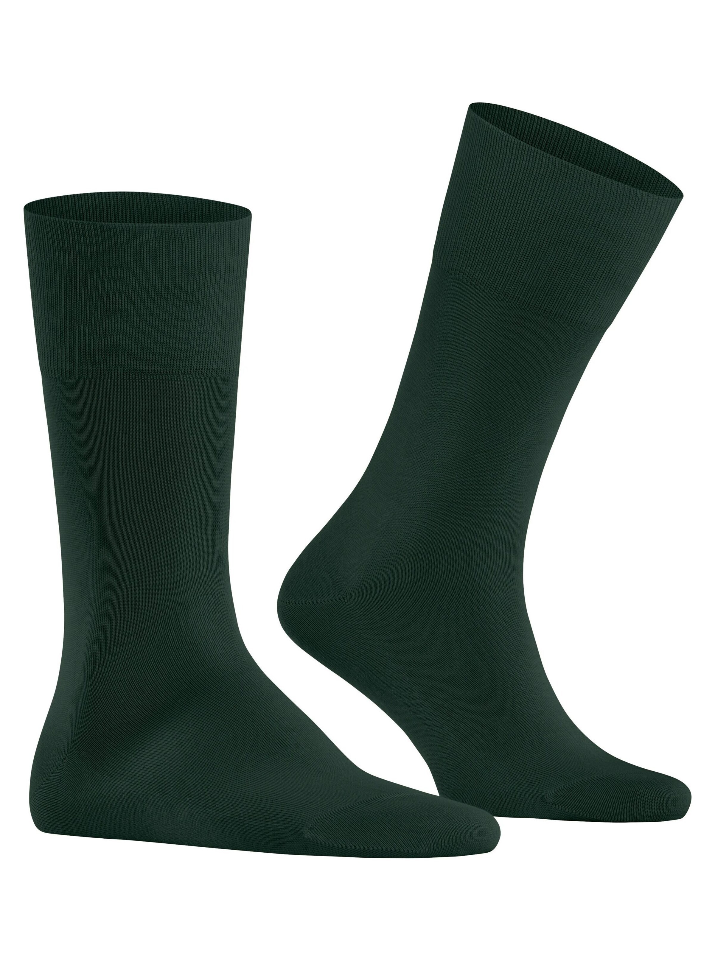 FALKE Socken 'Tiago'‌‌‌‌ in Grün