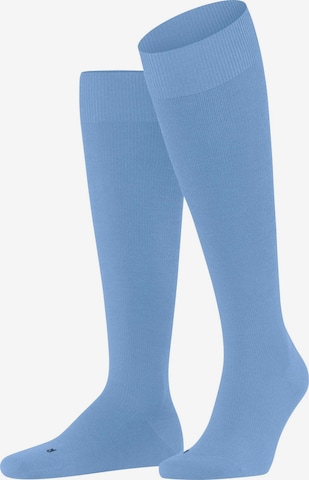 FALKE Kniestrümpfe 'Energizing Wool' in Blau: Vorderseite