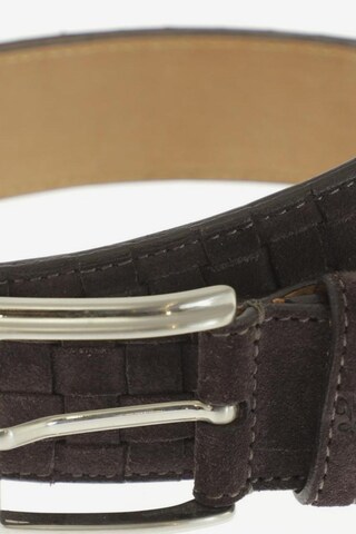 Van Laack Belt & Suspenders in One size in Brown