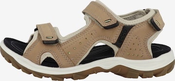 ECCO Sandals 'Offroad Lite' in Brown