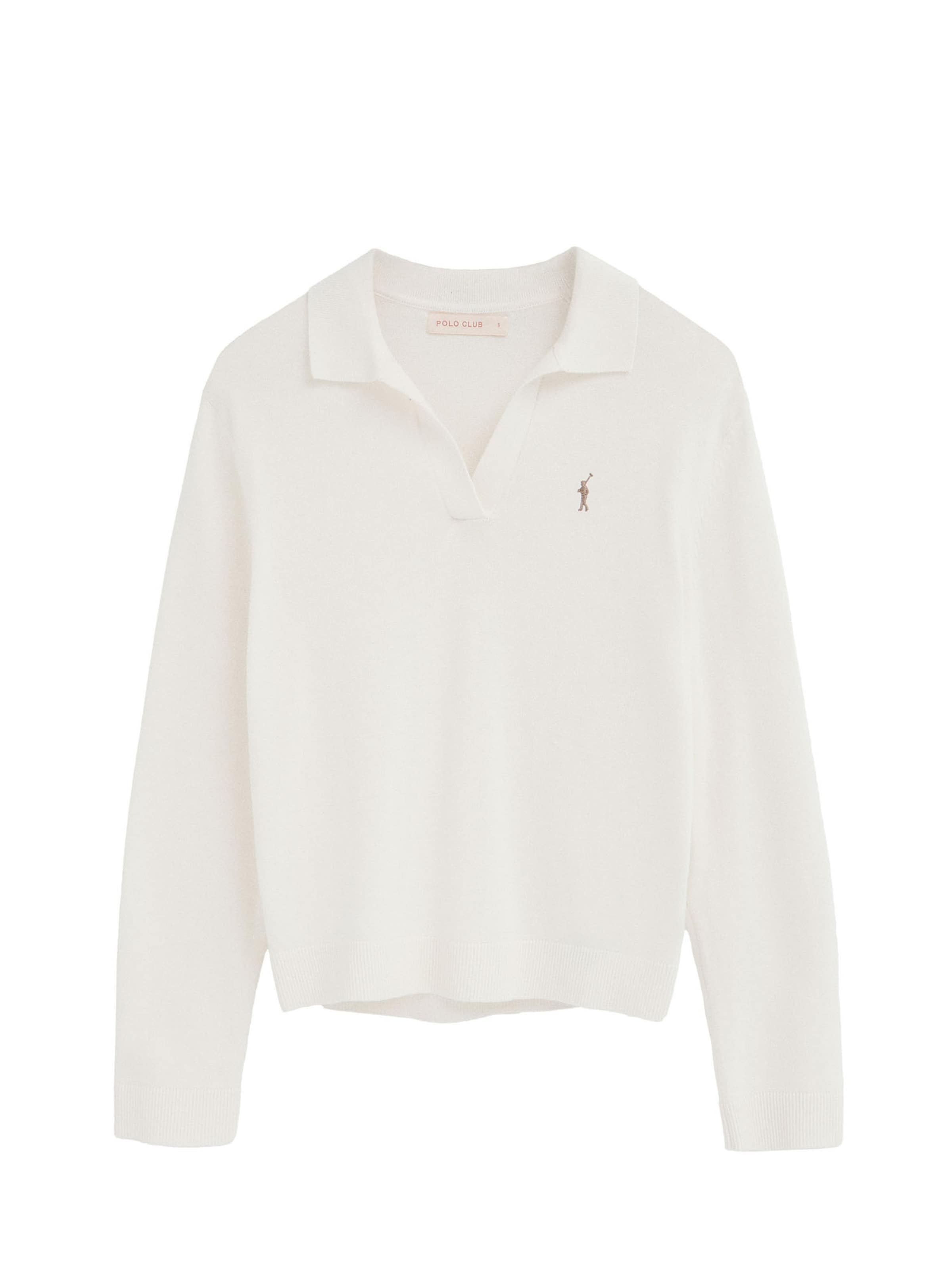 Polo Club Sweater 'Rigby Go Berlin' in White: front