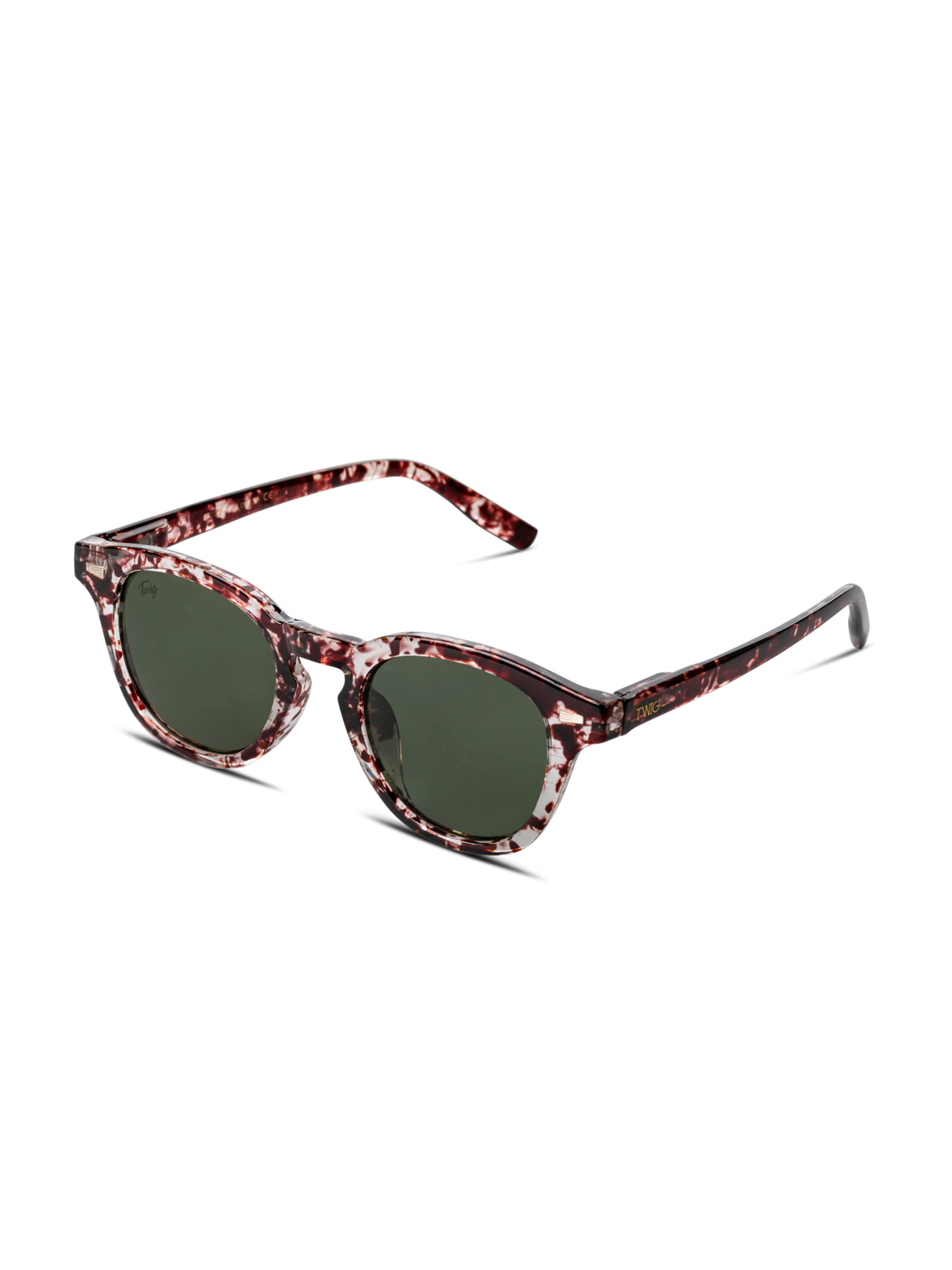 TWIG Concept Milano Sunglasses 'Bauman Sun' in Grey: front