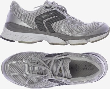 GEOX Sneakers & Trainers in 43 in Grey: front