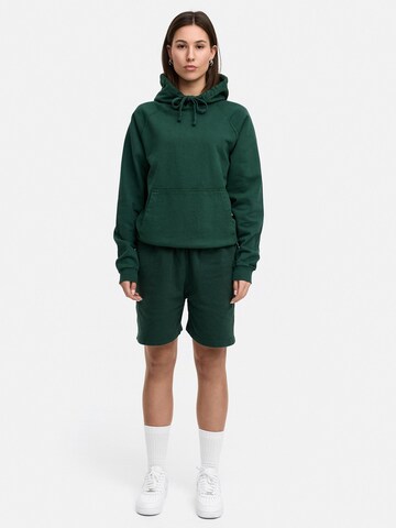 Daily Cotton Sweatshirt 'DCBAEZA' in Green