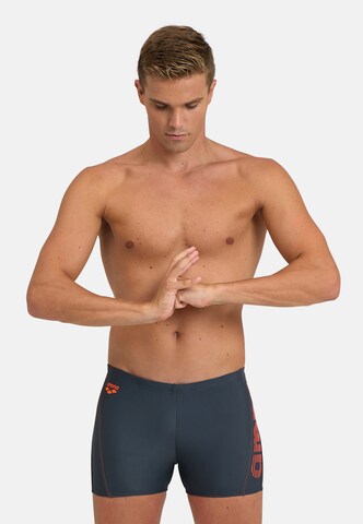 ARENA Athletic Swim Trunks 'BYOR EVO' in Grey