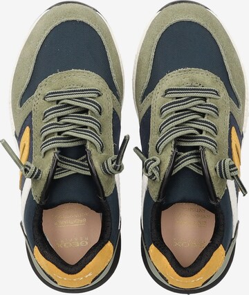 Sneaker di GEOX in verde