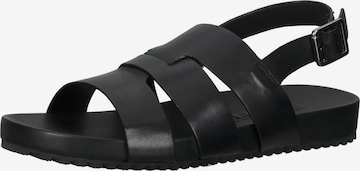 Gordon & Bros Sandals in Black: front