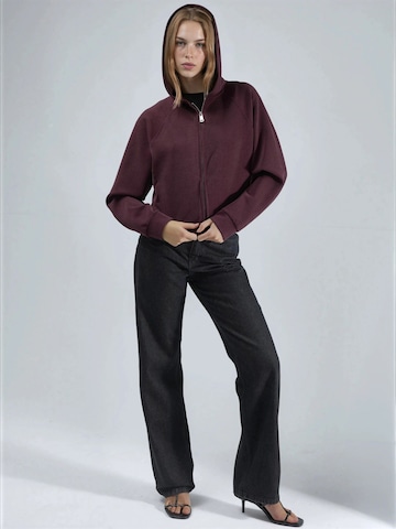 Busem Sweatjacke in Rot