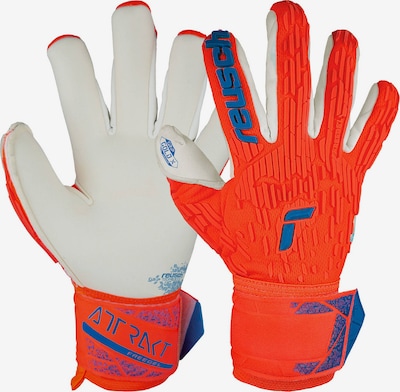 REUSCH Athletic Gloves 'Attrakt Gold X Freegel' in Gentian / Neon orange / Off white, Item view