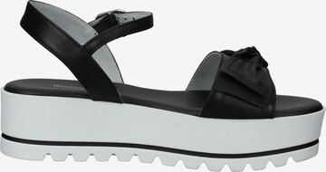 Nero Giardini Strap Sandals in Black