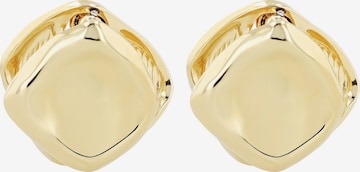 Akzent Earrings 'Varinja, langlebig' in Gold: front