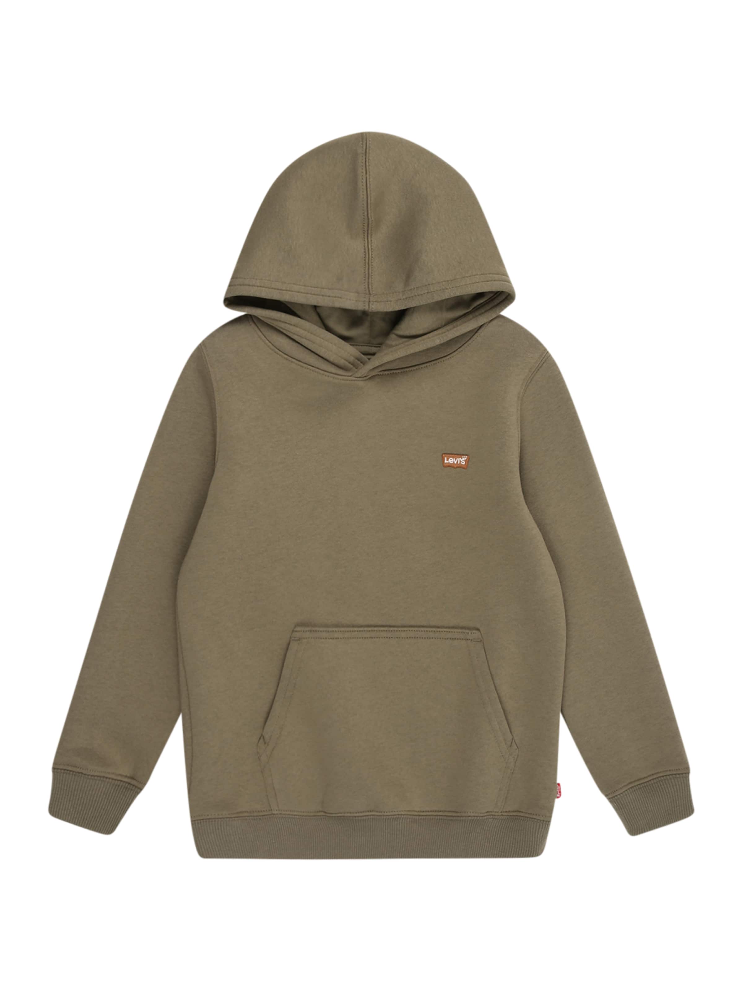 Levi's Kids Μπλούζα φούτερ σε πράσινο: μπροστά