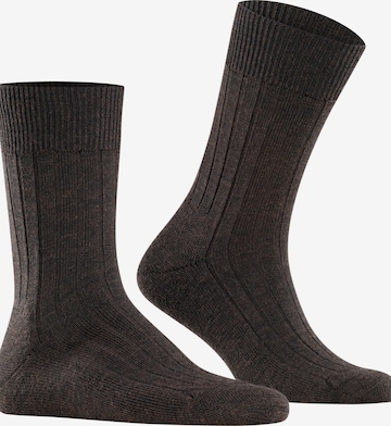 FALKE Socken 'Teppich im Schuh' in Braun: Vorderseite