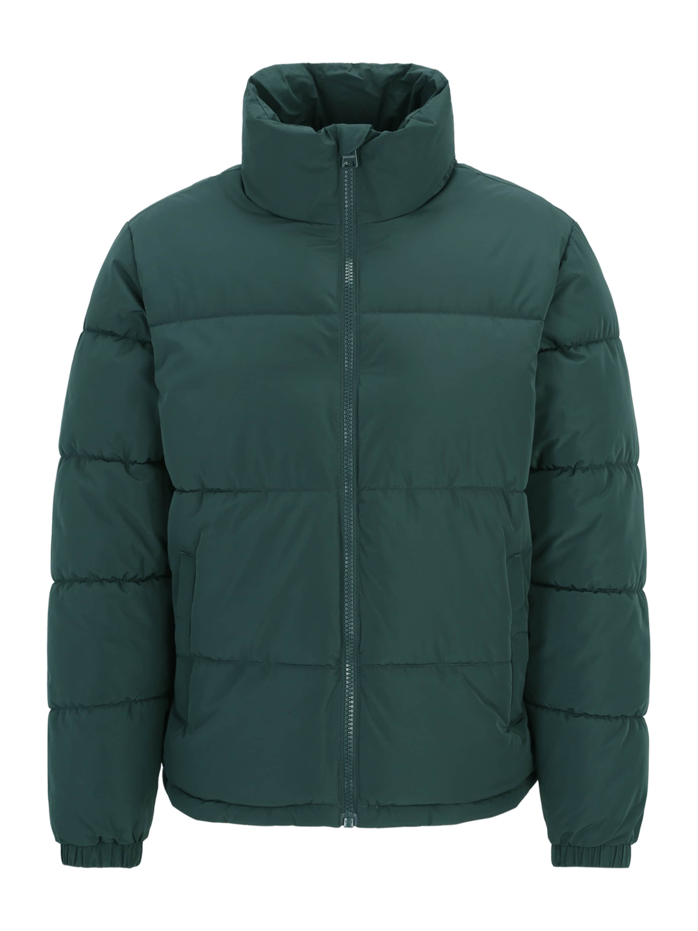 Only & Sons - Chaqueta de entretiempo 'ONSMELVIN ' en verde: frente