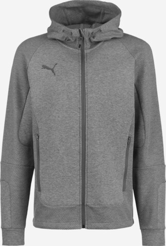 PUMA Athletic Zip-Up Hoodie 'TeamCUP' in Grey: front