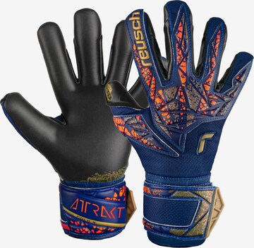 REUSCH Sporthandschoenen 'Attrakt Gold X Junior' in Blauw: voorkant