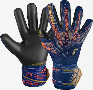 REUSCH Athletic Gloves 'Attrakt Gold X Junior' in Blue: front