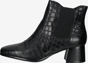 SALAMANDER Booties in Black