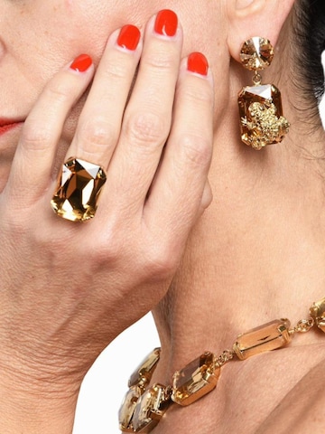 Addicted2 Σκουλαρίκια 'Ginevra orecchini placcati oro 18kt con cristalli oro Swarovski & motivo rana' σε χρυσό