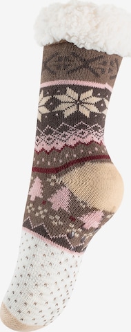 Yenita - Meias em bege: frente